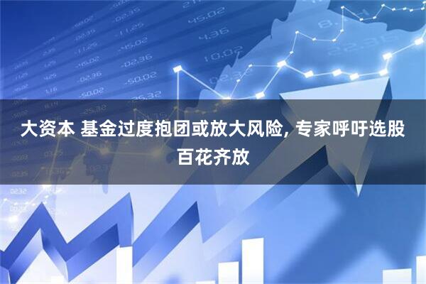 大资本 基金过度抱团或放大风险, 专家呼吁选股百花齐放