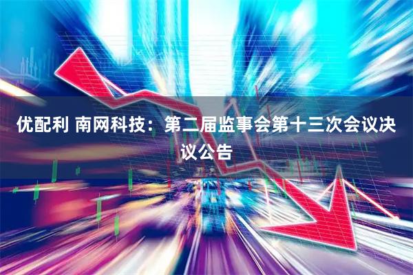 优配利 南网科技：第二届监事会第十三次会议决议公告