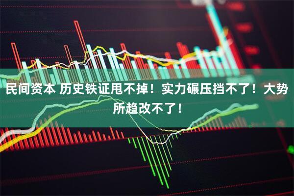民间资本 历史铁证甩不掉!实力碾压挡不了!大势所趋改不了!