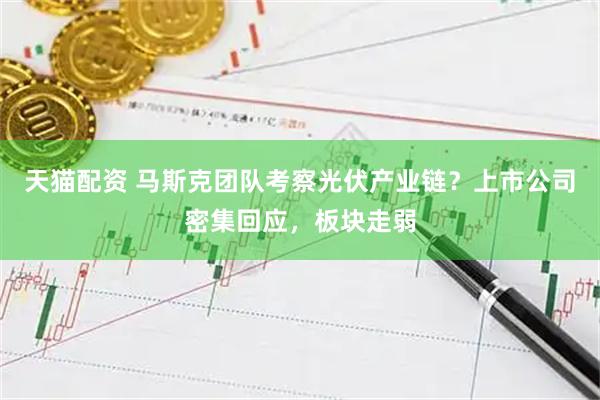 天猫配资 马斯克团队考察光伏产业链？上市公司密集回应，板块走弱