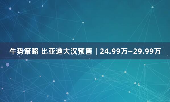 牛势策略 比亚迪大汉预售｜24.99万—29.99万